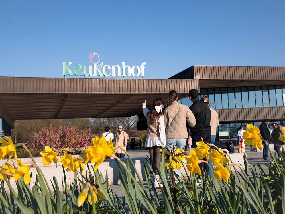 Keukenhof 2025: An unforgettable day among flowers and fun, a complete guide