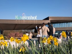Keukenhof 2025: An unforgettable day among flowers and fun, a complete guide