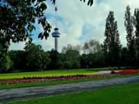 Explore Rotterdam’s parks