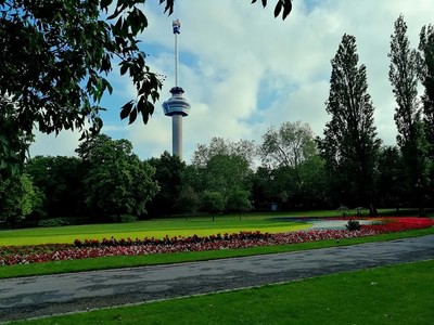 The park in rotterdam m3ogb0ud