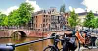 Visit Keukenhof or ARTIS Zoo, Relax in the Sun and Find More Ways to Enjoy Spring in Amsterdam