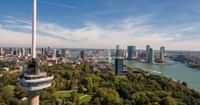 Check out what to do in Rotterdam on Tours & Tickets