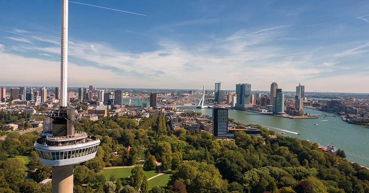 Things to do in Rotterdam - Tours & Tickets