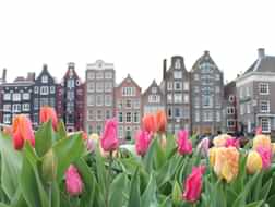 Discovering Amsterdam in spring: the best things to do