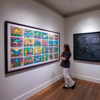 Moco Museum: Banksy and More