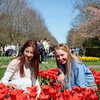 Keukenhof bus tour from Amsterdam