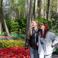 Keukenhof – Amsterdam Bus Transfer