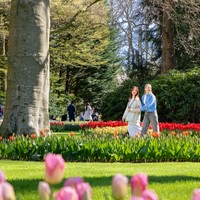 Keukenhof day trip from Amsterdam + Amsterdam Canal Cruise