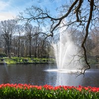 Keukenhof + Countryside and Windmills tour