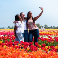 From Amsterdam: Keukenhof Gardens & Tulip Experience Tour