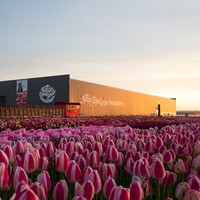 The Tulip Experience Amsterdam: ticket