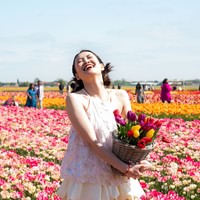 The Tulip Experience Amsterdam: ticket