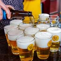 Mystery Beer Tasting