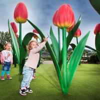 Madurodam