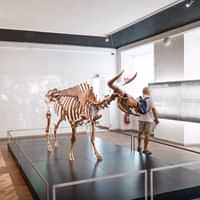 National Museum of Denmark