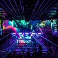 Our House Amsterdam: Immersive Experience on Electronic Music