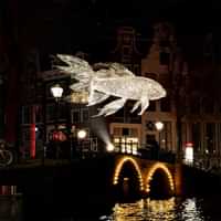 Amsterdam Light Festival 2025 - 2026 Kanalrundfart