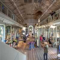 ARTIS-Groote Museum – Asking the big questions