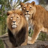 ARTIS Royal Zoo  Micropia