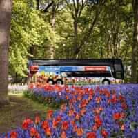 Keukenhof day trip from Amsterdam  Canal Cruise