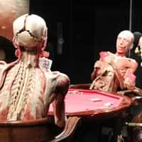 BODY WORLDS Amsterdam