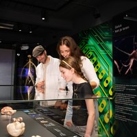 BODY WORLDS Ámsterdam