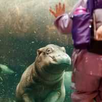 Copenhagen ZOO