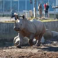 Copenhagen ZOO