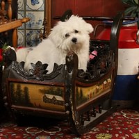 Picture in Volendam attire