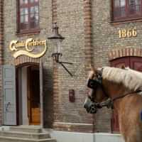 Home of Carlsberg