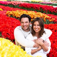 The Tulip Experience Amsterdam: ticket only