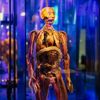 Tekniska: Museo Nazionale della Scienza e della Tecnologia