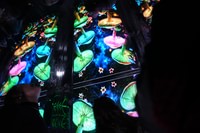 Guinness World Records Museum + Wonder Maze