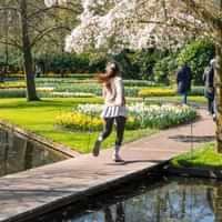 Keukenhof day trip from Amsterdam  Canal Cruise