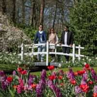 From Amsterdam: Keukenhof Gardens & Tulip Experience Tour
