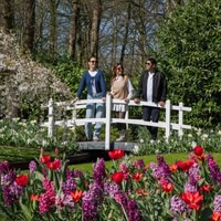 From Amsterdam: Keukenhof Gardens & Tulip Experience Tour