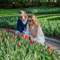 Keukenhof  Countryside and Windmills tour