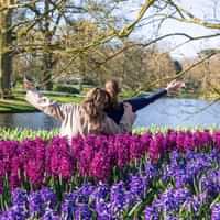 Keukenhof bus tour from Amsterdam