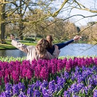 Keukenhof bus tour from Amsterdam