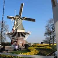 Keukenhof day trip from Amsterdam  Canal Cruise