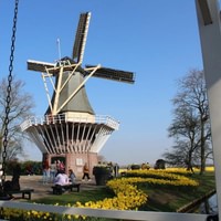 Keukenhof day trip from Amsterdam  Canal Cruise
