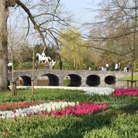 Keukenhof bus tour from Amsterdam