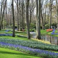 Keukenhof day trip from Amsterdam  Canal Cruise