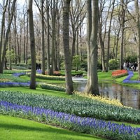 Keukenhof day trip from Amsterdam  Canal Cruise