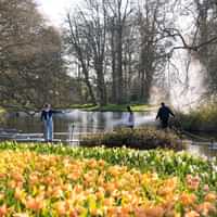 Keukenhof bus tour from Amsterdam