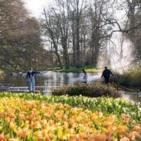 Keukenhof bus tour from Amsterdam
