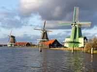 Types of Dutch windmills