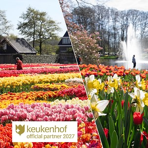 From Amsterdam: Keukenhof Gardens & Tulip Experience Tour