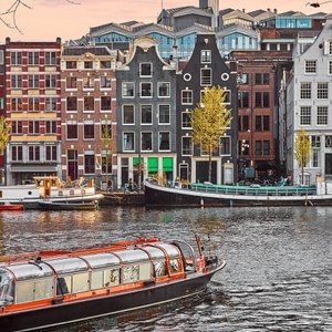 Your best travel buddy