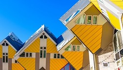 Rotterdam
activities